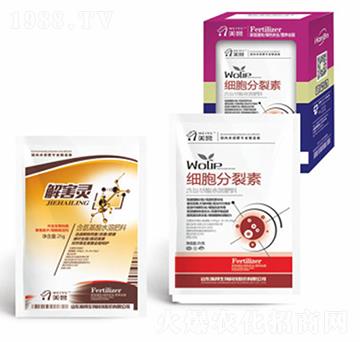 ����������-嫰�����