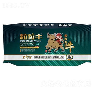 ��������������ĵ���-���ɹ�