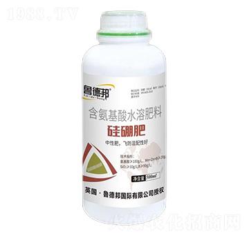 含氨基酸水溶肥料-硅硼肥-魯?shù)掳? />
</div>
</div>
<style type=