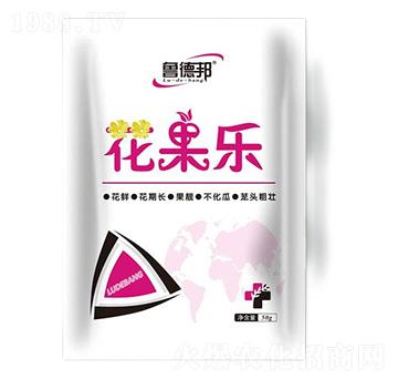 花果樂(lè)-魯?shù)掳? />
                                </div>
                            </div>
                            
                            <style type=