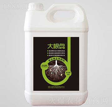 大根盤復合微生物肥料-坤禾生物