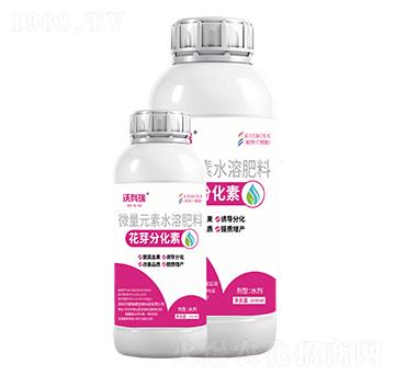 花芽分化素-沃科瑞-禧勒姆