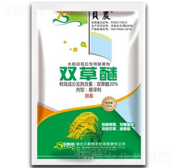 20%�p���ёҸ���-ؐ˹���r��