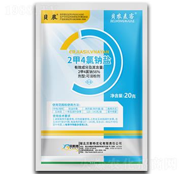 2��4���c�}-ؐ�r����-ؐ˹���r��