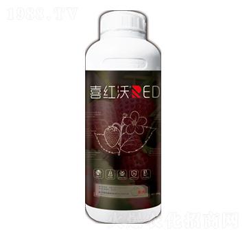 ϲ�t��-�����T-���A�r