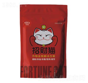 招財(cái)貓?jiān)霎a(chǎn)套餐-公牛國際