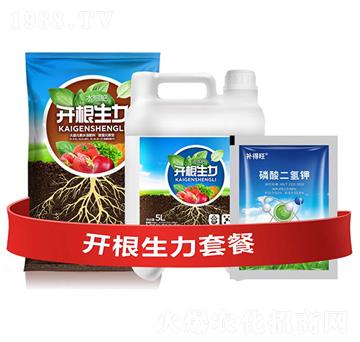 開根生力套餐D-云大科技