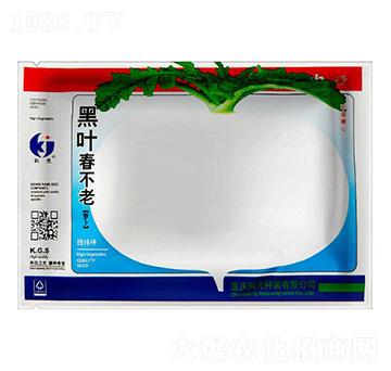 ���~�������}��-�ƹ�N��