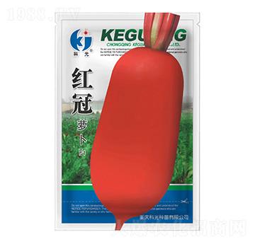 �t���}��-�ƹ�N��