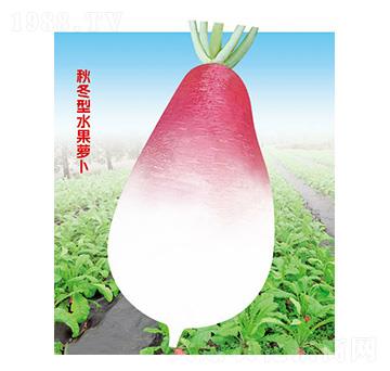 �����}��-�ƹ�N��