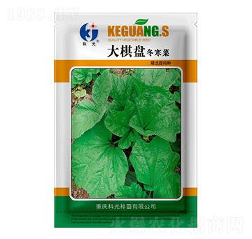 ����P(p��n)������-�ƹ�N��