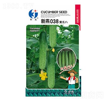 ����038-�ƹ�N��