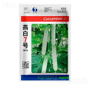 ���7̖(h��o)-�ƹ�N��