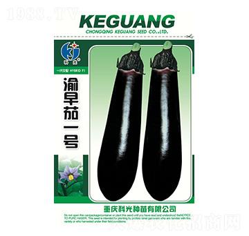 ������1̖(h��o)-�ƹ�N��