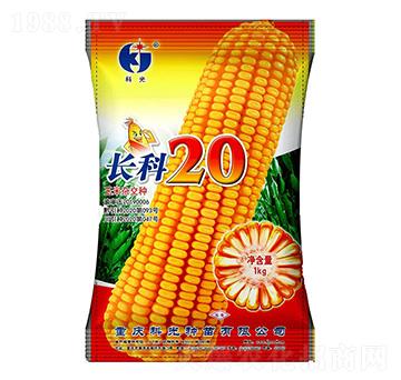 �L(zh��ng)��20-�ƹ�N��