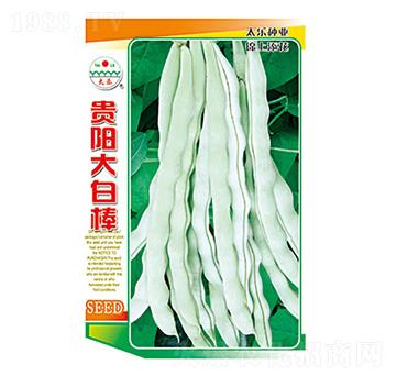 N-F(yng)װ-̫(l)NI(y)