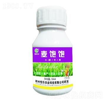 50ml小麥專用葉面肥-麥飽飽-恒樂農(nóng)業(yè)