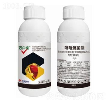 25%ѾҸ-f(wn)(li)-