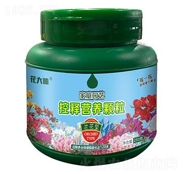 蘭花型家庭園藝控釋營(yíng)養(yǎng)顆粒-花大帥-綠沃肥業(yè)
