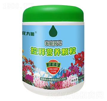 800���m���ͼ�ͥ�@ˇ��ጠI�B(y��ng)�w��-����-�G�ַʘI(y��)