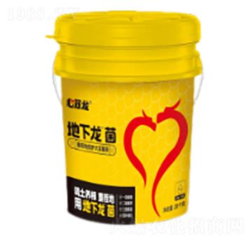 重茬地救護大豆菌液-地下龍-心雙龍-天山雙龍