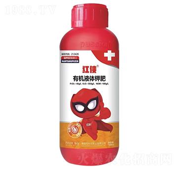 �t�b�D���S��ȼ���-�����ʘI(y��)