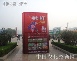 �挦2011ɽ�|ֲ����늓�С�ӝM������