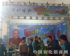 �������������б�36E