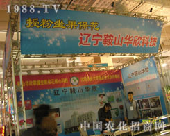 �ڷ������������|����ɽ�A���Ƽ�