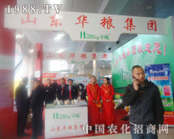 ɽ|AZF-ʝr(nng)Yչλ