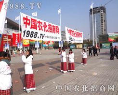 �r(n��ng)���W(w��ng)�F(tu��n)�(du��)����Ͷ�롢�ի@�ɹ�