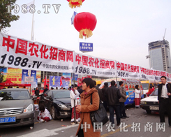 �r(n��ng)���W(w��ng)�B��(qi��ng)ƴ���ĸɄŴ���˴˴�չ��(hu��)�ƏV֮��