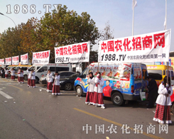 �r�����̾W(w��ng)ҫ�۵��������͸¶�����ҵ�����Ӱ�