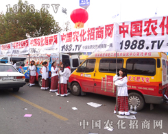 �r���W(w��ng)������������׌�˞�֮�۷�