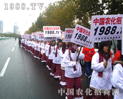 ��Ҋ�C1988.TV�ݴ�������������������������