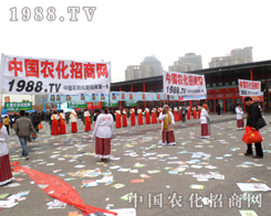 2012��ֲ���p�����r(n��ng)���W(w��ng)�������Ƿǳ��Ѵ��