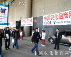 28��ֲ�����r(n��ng)�����̾W(w��ng)�F(tu��n)�ƴ������Ӱ