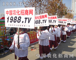 �{��ƴ���ğ������r(n��ng)���W(w��ng)��(zh��n)ʿ�_������һƬ���������