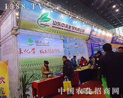 �к̻��W�ڶ�ʮ�ˌú���ֲ���p������Ŭ������