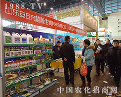 Խ��������څ��c2012��ֲ���p����