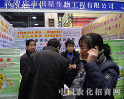 ���������ӱ�ʡʯ���fֲ����(hu��)���L(f��ng)��