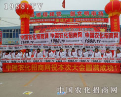 ׌����(hu��)�ˌ��r(n��ng)���W(w��ng)���˸���һ�����˽⣡