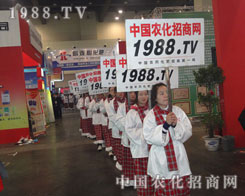 ���ˣ��ԏ�(qi��ng)�߰�����������