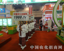 ���ݷ��ϕ�(hu��)����Щ�ɐ۵�����