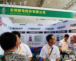 ������ĸϲӍ����