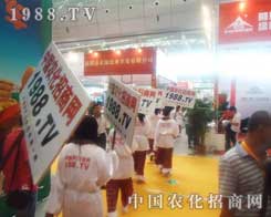 �r(n��ng)���W(w��ng)�ڵ�12���½��r(n��ng)�I(y��)���[��(hu��)�ٴγɞ齹�c(di��n)