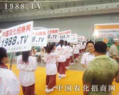 �������T���r(n��ng)���W(w��ng)�ď�(qi��ng)�̻�ʯ