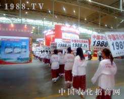 С���������꠶����C����