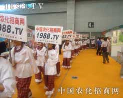 �r(n��ng)�����̾W(w��ng)��������(qi��ng)��(sh��)���������L(f��ng)