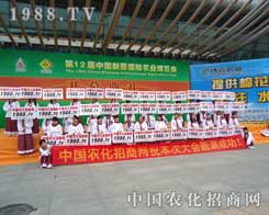 �K�����L(f��ng)����������b�ٴ��������ܶ��˵�����